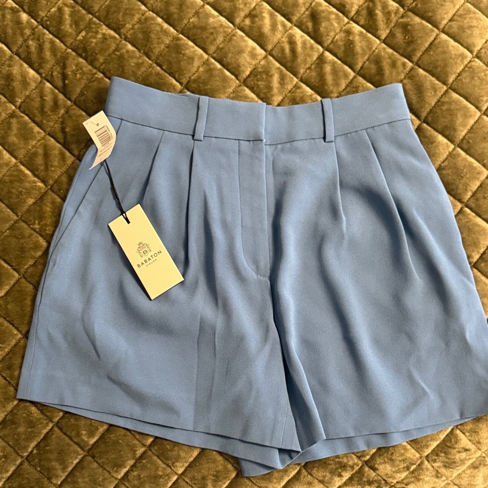 Aritzia Babaton Blue Pleated Shorts